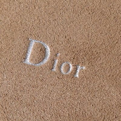 Dior Bag — 8