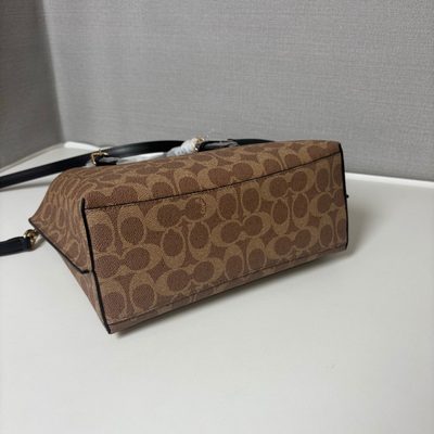Coach Bag — 5