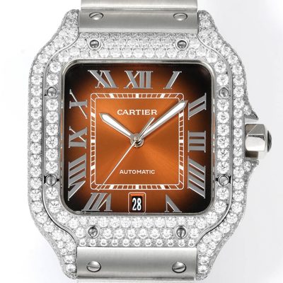 Cartier Watch — 6