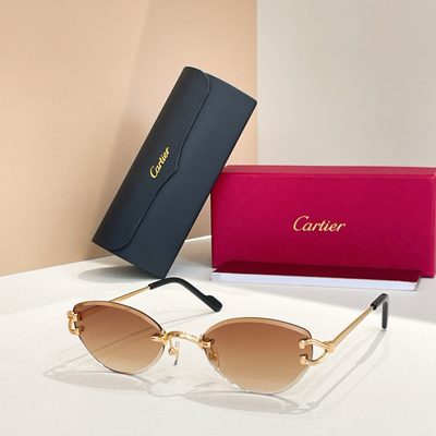 Cartier Sunglasses — 3