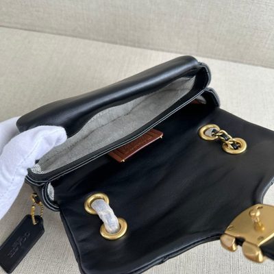 Coach Bag — 3