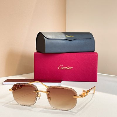 Cartier Sunglasses — 4