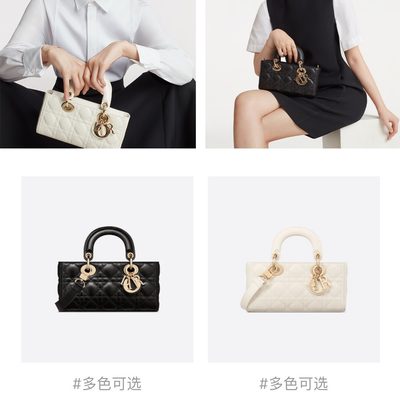 Dior Bag