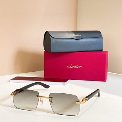 Cartier Sunglasses — 5
