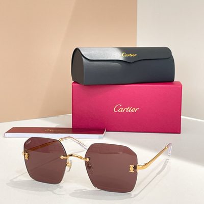 Cartier Sunglasses — 5