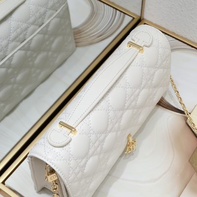 Dior Bag — 9