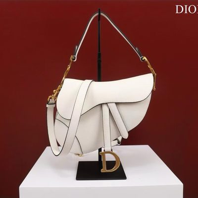 Dior Bag — 8