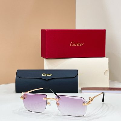 Cartier Sunglasses — 3