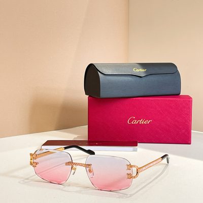 Cartier Sunglasses — 4