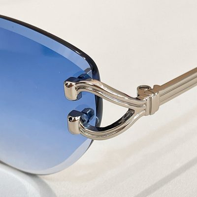Cartier Sunglasses — 9