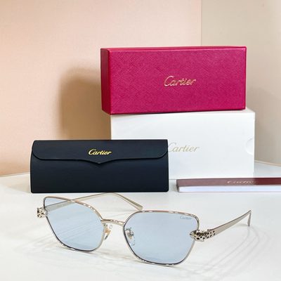 Cartier Sunglasses — 6