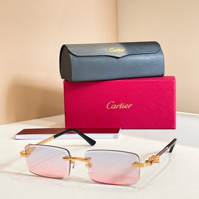 Cartier Sunglasses — 8
