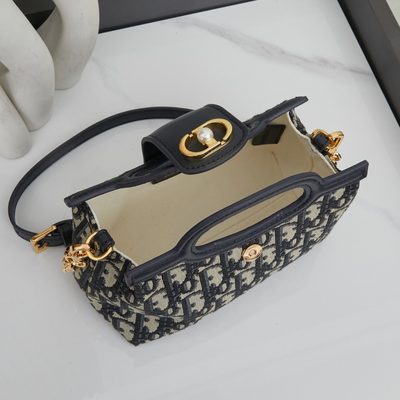 Dior Bag — 9