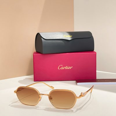 Cartier Sunglasses — 8