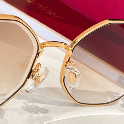 Cartier Sunglasses — 6
