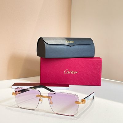 Cartier Sunglasses — 3
