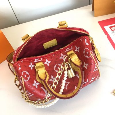 Louis Vuitton Bag — 9