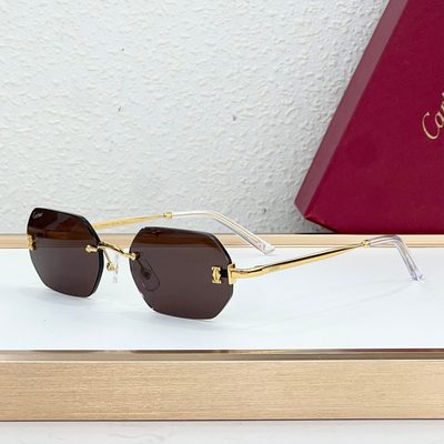 Cartier Sunglasses — 4