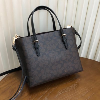 Coach Bag — 3