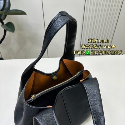 Coach Bag — 5