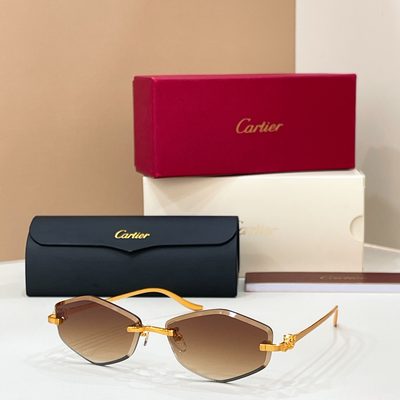 Cartier Sunglasses — 3