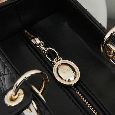 Dior Bag — 7