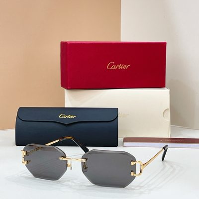 Cartier Sunglasses — 5