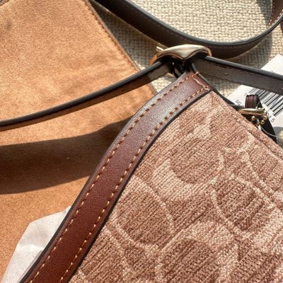 Coach Bag — 17