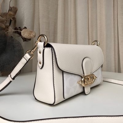 Coach Bag — 27