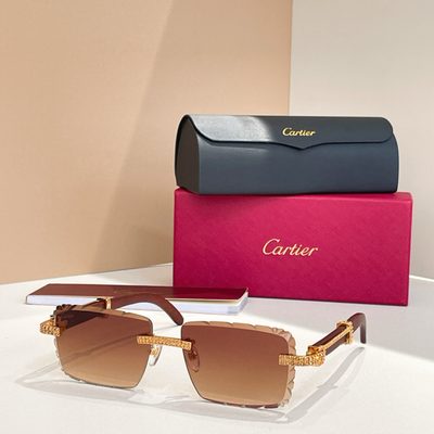 Cartier Sunglasses — 3