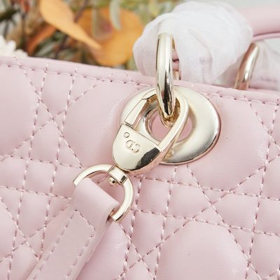 Dior Bag — 5
