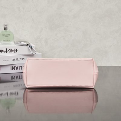 Dior Bag — 4
