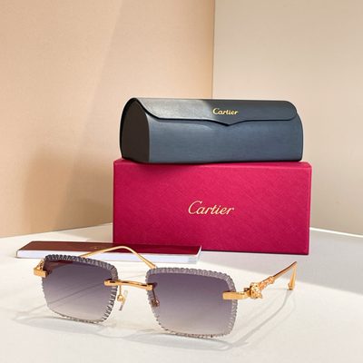 Cartier Sunglasses — 6