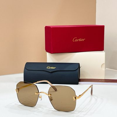 Cartier Sunglasses — 5
