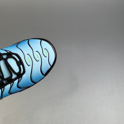 Nike Air Max Plus trainers — 7