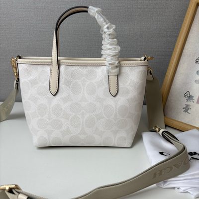 Coach Bag — 3