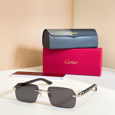 Cartier Sunglasses — 6