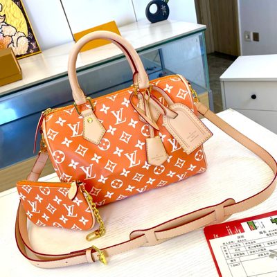 Louis Vuitton Bag — 3