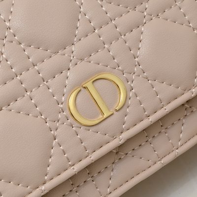 Dior Bag — 4