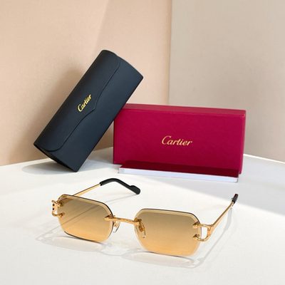 Cartier Sunglasses — 3