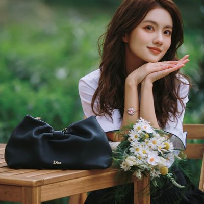 Dior Bag — 15