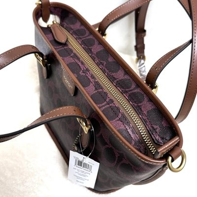 Coach Bag — 5