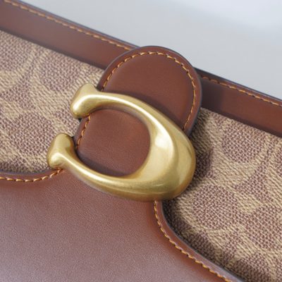 Coach Bag — 6