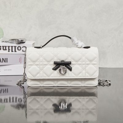 Dior Bag