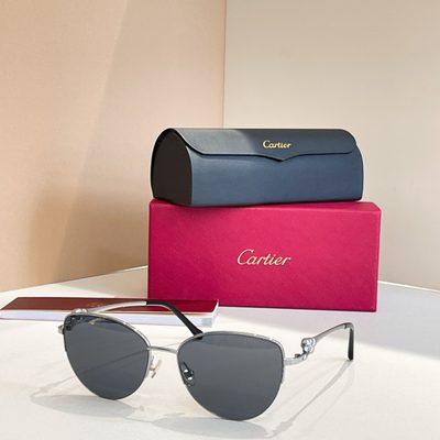Cartier Sunglasses — 8