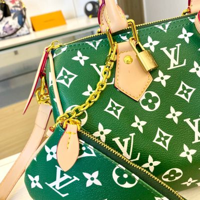 Louis Vuitton Bag — 5