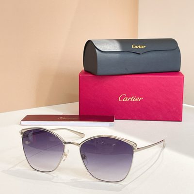 Cartier Sunglasses — 6