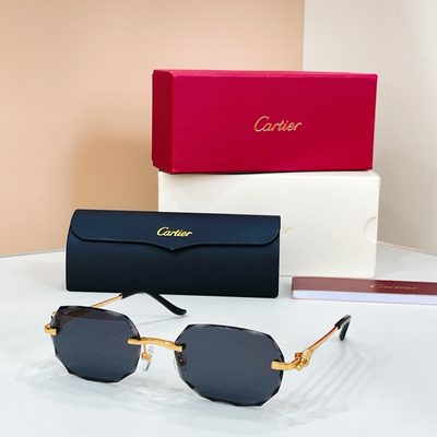 Cartier Sunglasses — 3