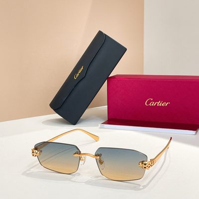 Cartier Sunglasses — 5