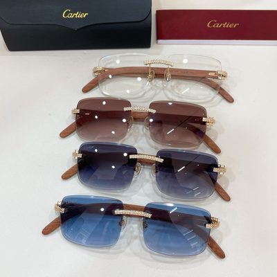 Cartier Sunglasses — 8